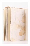 Eco Print Defrer