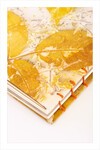 Eco Print Defrer