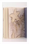 Eco Print Defter