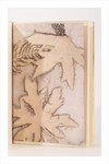 Eco Print Defter