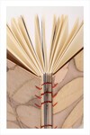 Eco Print Defter