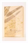 Eco Print Defter
