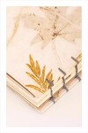 Eco Print Defter