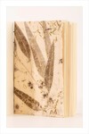 Eco Print Defter