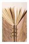 Eco Print Defter