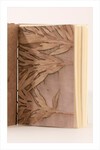Eco Print Defter
