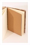 Eco Print Defter